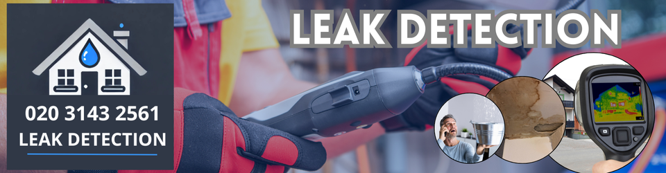 Beckenham Leak Detection