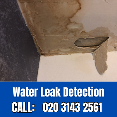 Expert Water Leak Detection Services in Beckenham | Beckenham Leak Detection